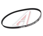 Ремень приводной поликлиновой 4PK823 JAC T6 генератора MOVELEX
