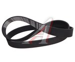 Ремень приводной поликлиновой 8PK1290 SHACMAN SHAANXI MOVELEX