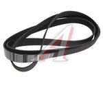 Ремень приводной поликлиновой 8PK2688 JAC N35,T6 SOLLERS Argo 2.0 MOVELEX