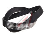 Ремень приводной поликлиновой 8PK1092 SHACMAN SHAANXI MOVELEX