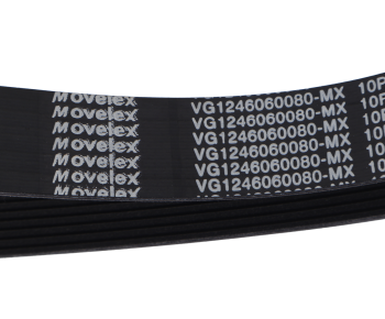 Ремень приводной поликлиновой 10PK1462 SITRAK HOWO MOVELEX 2