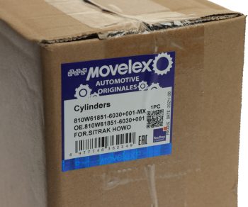 Цилиндр SITRAK HOWO блокировки замка кабины MOVELEX 5